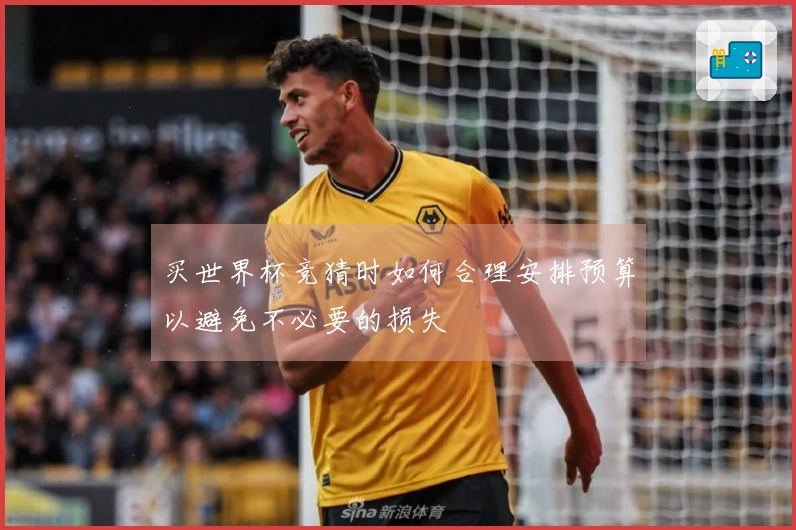 买世界杯竞猜时如何合理安排预算以避免不必要的损失