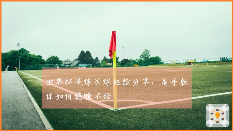世界杯滚球买球经验分享，高手教你如何稳赚不赔