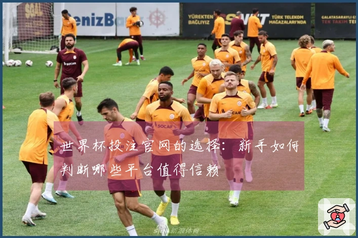 世界杯投注官网的选择：新手如何判断哪些平台值得信赖