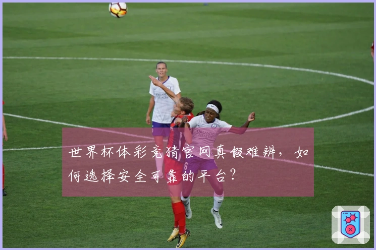 世界杯体彩竞猜官网真假难辨，如何选择安全可靠的平台？