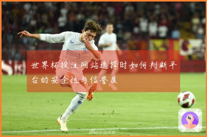 世界杯投注网站选择时如何判断平台的安全性与信誉度