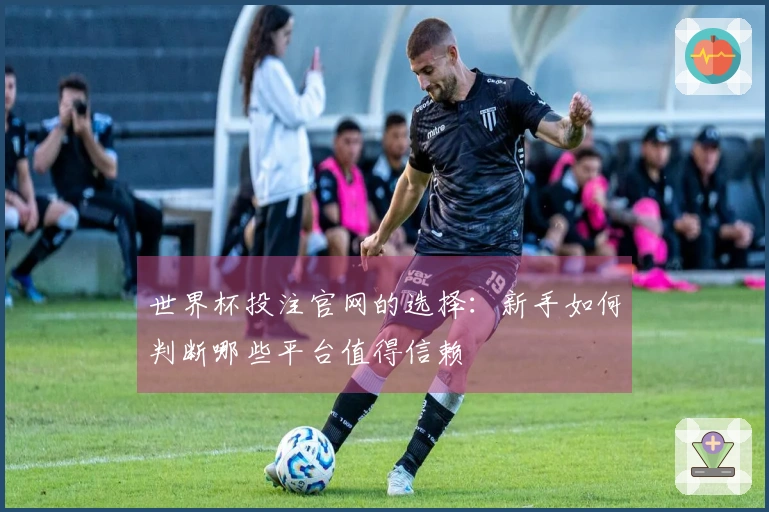 世界杯投注官网的选择：新手如何判断哪些平台值得信赖