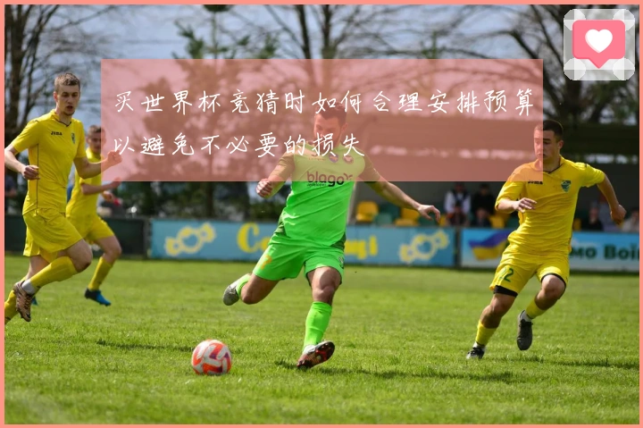 买世界杯竞猜时如何合理安排预算以避免不必要的损失